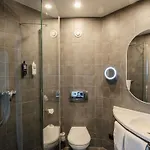 Ibis Centrum فندق